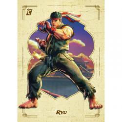 STREET FIGHTER S1 COLLECTOR BOX TC