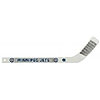 ITSWJ-TEAM STICK WINNIPEG JETS