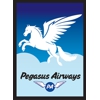 ULGDPA039-LEGION DP PEGASUS AIR