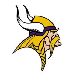 2024 NFL TEAM SET MINNESOTA VIKINGS