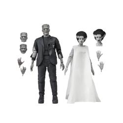 NE04747-BRIDE OF THE FRANKENSTEIN MONSTER & HIS MATE (B&W)