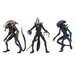 NE51717-ALIEN VS PREDATOR FIG DECO ALIEN ASST (14)