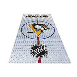 OYOHDPPP-NHL DISPLAY PLATE PENGUINS