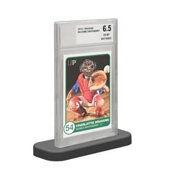 UPCSGBGS-GRADED CARD STAND BGS 10-PACK