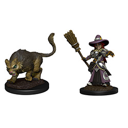 WKM73788-WARDLINGS GIRL WITCH & CAT