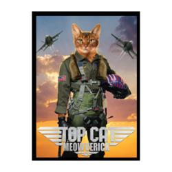 ULGDP16947-LEGION SLEEVES MOVIE CATS TOP CAT MEOWVERICK 50CT